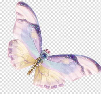 Butterfly Moth Lilac, Colorful butterfly transparent background PNG clipart