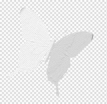 Butterfly Moth White, Texture white butterfly transparent background PNG clipart Butterfly Moth White, Texture white butterfly transparent background PNG clipart