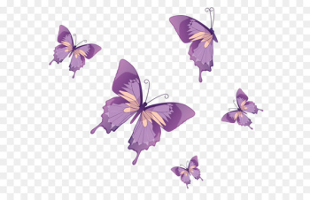 Butterfly Nymphalidae Clip art - Butterflies Vector PNG Clipart 