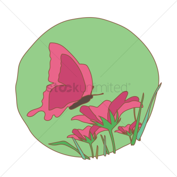 Butterfly on flower Butterfly on flower