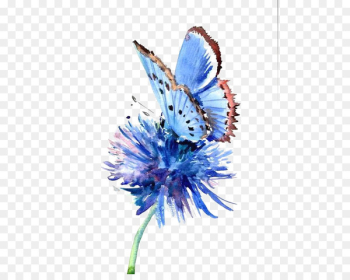 Butterfly Painting Blue Flower Drawing - Hand-painted background blue butterfly 