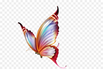 Butterfly Papillon dog Clip art - Colorful butterfly Butterfly Papillon dog Clip art - Colorful butterfly