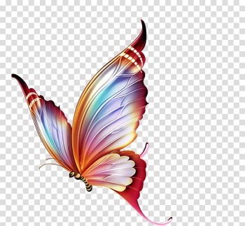 Butterfly Papillon dog , Colorful butterfly transparent background PNG clipart Butterfly Papillon dog , Colorful butterfly transparent background PNG clipart