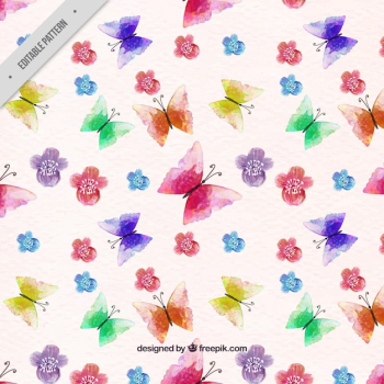 Butterfly pattern and watercolor flowers Butterfly pattern and watercolor flowers