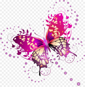 Butterfly Photography Illustration - Butterfly with purple lines 