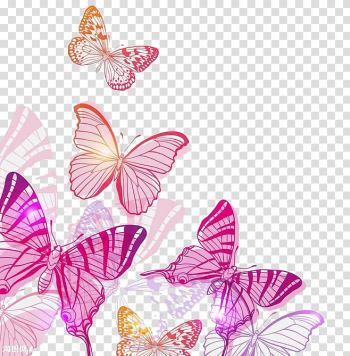 Butterfly , Pink Butterfly, pink and orange butterflies illustration transparent background PNG clipart