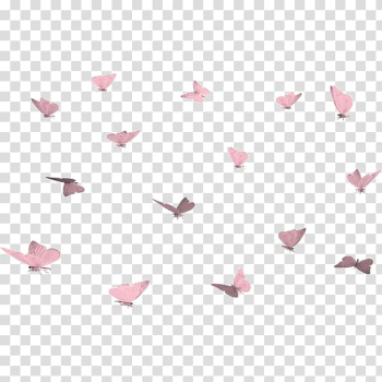 Butterfly , Pink Butterfly Print transparent background PNG clipart Butterfly , Pink Butterfly Print transparent background PNG clipart