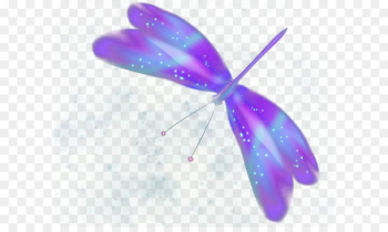 Butterfly Purple - Colorful butterfly Butterfly Purple - Colorful butterfly