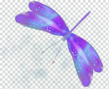 Butterfly Purple, Colorful butterfly transparent background PNG clipart