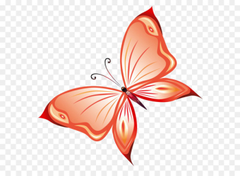 Butterfly Queen Alexandra's birdwing Clip art - Transparent Red Butterfly PNG Clipart 