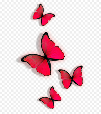 Butterfly Red Clip art - Red butterfly Butterfly Red Clip art - Red butterfly