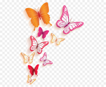 Butterfly Royalty-free Illustration - Floating butterfly Butterfly Royalty-free Illustration - Floating butterfly
