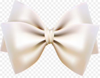 Butterfly Shoelace knot Ribbon White - Simple white bow tie Butterfly Shoelace knot Ribbon White - Simple white bow tie