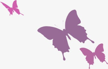 Butterfly Silhouette, Butterfly, Butterfly Clipart, Silhouette ...