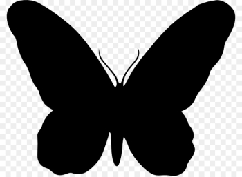 Butterfly, Silhouette, Insect, White PNG Butterfly, Silhouette, Insect, White PNG