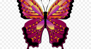 Butterfly, Silhouette, Photography, Insect PNG Butterfly, Silhouette, Photography, Insect PNG