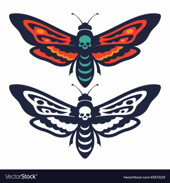 butterfly skull butterfly skull