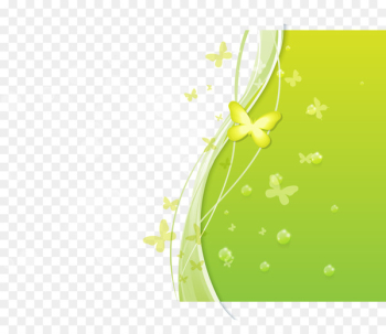 Butterfly Soap bubble Pattern - Fresh green butterfly background vector 