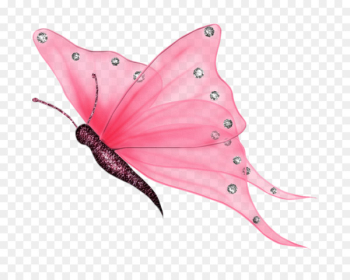 Butterfly Turquoise Greta oto Clip art - butterfly watercolor 