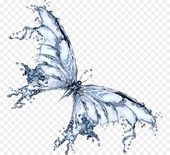 Butterfly Water Clip art - Liquid Butterfly Butterfly Water Clip art - Liquid Butterfly