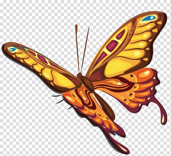 Butterfly , watercolor butterfly transparent background PNG clipart Butterfly , watercolor butterfly transparent background PNG clipart