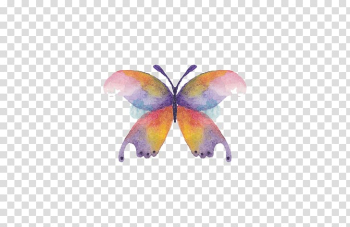 Butterfly Watercolor painting Drawing, butterfly transparent background PNG clipart