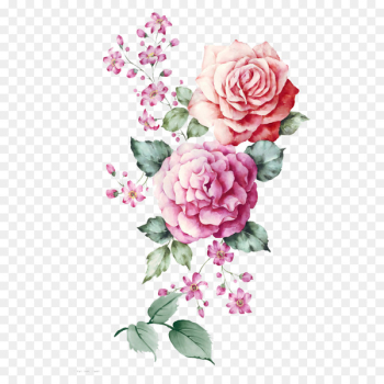 Butterfly Watercolor painting Illustration - Two teams pink peony flower HD 