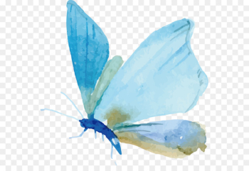 Butterfly Watercolor painting Moth Euclidean vector - Vector painted butterfly 