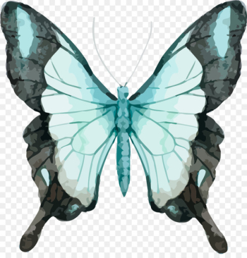 Butterfly Watercolor painting Stock photography Royalty-free - Beautiful vector butterfly watercolor 