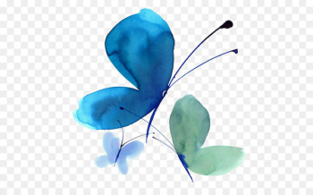 Butterfly Watercolour Flowers Watercolor painting Ink wash painting - butterfly 