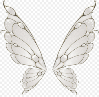 Butterfly Wing Flight Moth - Painted white butterfly wings Butterfly Wing Flight Moth - Painted white butterfly wings