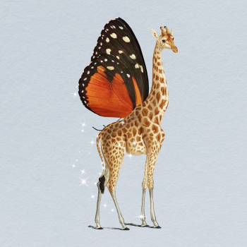 Butterfly winged giraffe clipart, surreal | Free Photo - rawpixel Butterfly winged giraffe clipart, surreal | Free Photo - rawpixel