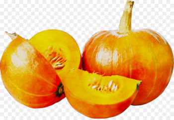 Butternut squash Pumpkin Vegetarian cuisine Gourd - Butternut squash Pumpkin Vegetarian cuisine Gourd -