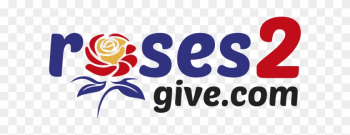 Buy Roses Online - Rose Buy Roses Online - Rose