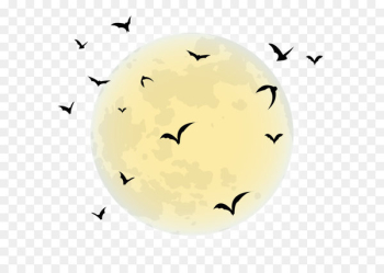 By the Light of the Halloween Moon Black moon - Halloween Moon PNG Clip Art Image 