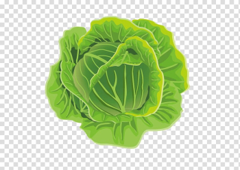 Cabbage Leaf vegetable Cauliflower Kale, Cabbage transparent background PNG clipart Cabbage Leaf vegetable Cauliflower Kale, Cabbage transparent background PNG clipart