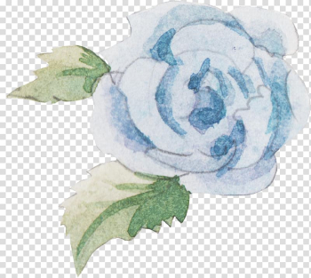 Cabbage rose Garden roses Blue rose Knitting pattern, knitting pattern transparent background PNG clipart