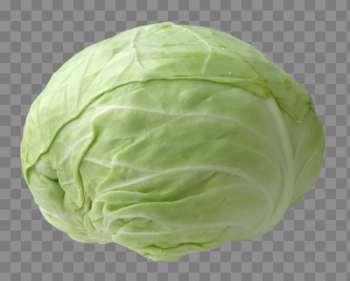 Cabbage Transparent Images Cabbage Transparent Images