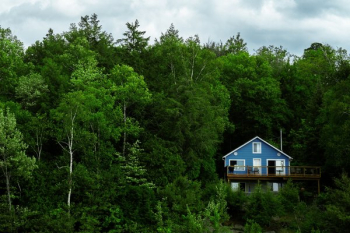 Cabin In The Woods Cabin In The Woods