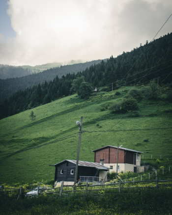 Cabin Near Forest Cabin Near Forest
