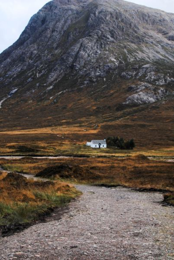 cabin near mountain cabin near mountain