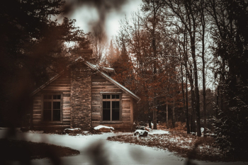 Cabin Near Trees Cabin Near Trees