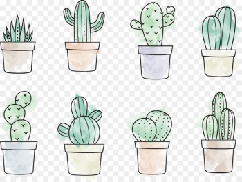 Cactaceae Drawing Painting - Cactus Vector Cactaceae Drawing Painting - Cactus Vector