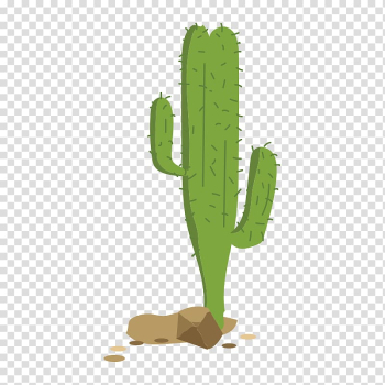 Cactaceae Euclidean , cactus transparent background PNG clipart