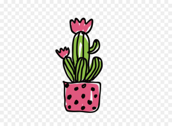 Cactaceae Illustration - Vector Cactus Flower Illustration Cactaceae Illustration - Vector Cactus Flower Illustration