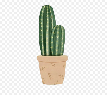 Cactaceae Paper Succulent plant Watercolor painting Cereus speciosus - Watercolor cactus 