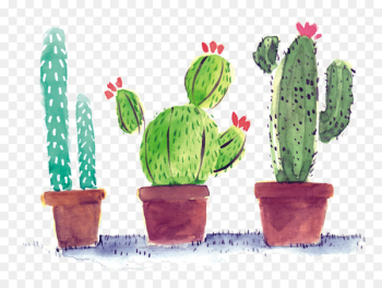 Cactaceae Poster - Watercolor cactus Cactaceae Poster - Watercolor cactus