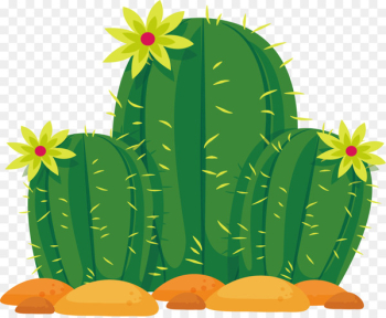 Cactaceae Sonoran Desert Euclidean vector - Yellow flower cactus 