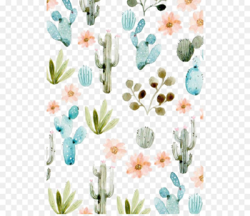 Cactaceae Succulent plant Wallpaper - cactus Cactaceae Succulent plant Wallpaper - cactus