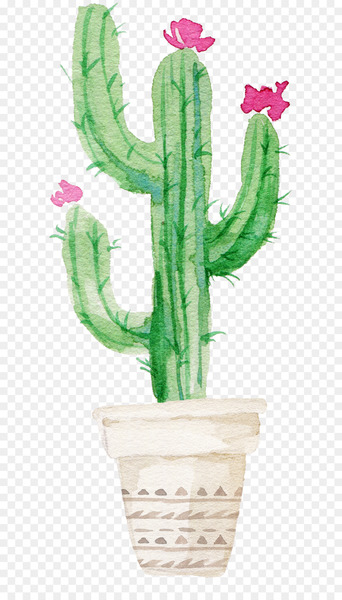Cactaceae Succulent plant Watercolor painting Printmaking - Sen Department aesthetic cactus 